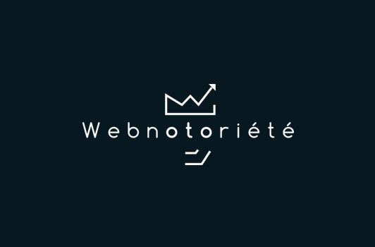 Faites sérieusement le point sur vos campagnes Adwords, votre référencement, votre e-réputation, etc, avec Webnotoriété…